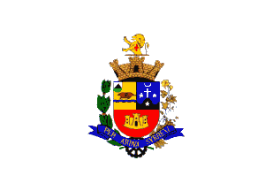 Bandeira do Município de Tatuí